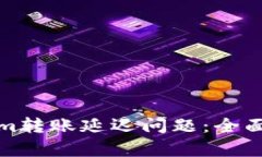 如何解决Tokenim转账延迟问题：全面分析与应对策