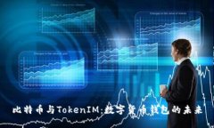 比特币与TokenIM：数字货币钱包的未来