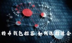 安全的比特币钱包推荐：如何选择适合你的选择