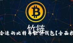 如何选择合适的比特币软件钱包？全面指南与推