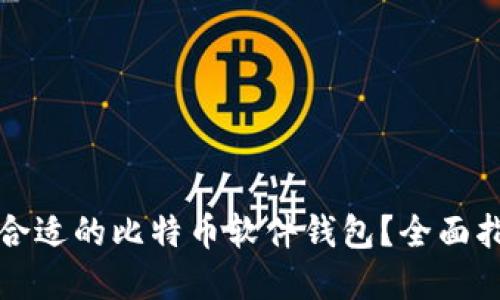 如何选择合适的比特币软件钱包？全面指南与推荐