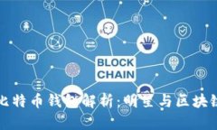 李晨使用的比特币钱包解析：明星与区块链的完