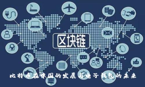 比特币在中国的发展与电子钱包的未来