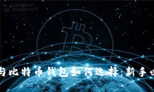比太币与比特币钱包如何选择：新手必读指南