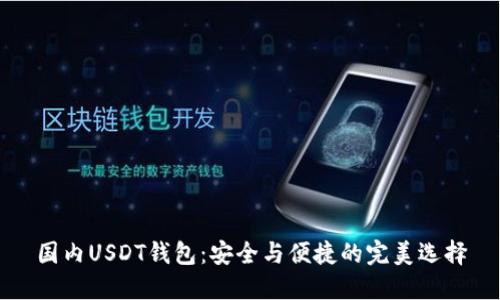国内USDT钱包：安全与便捷的完美选择
