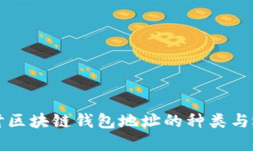 深入探讨区块链钱包地址的种类与选择指南