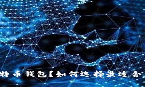 什么是比特币钱包？如何选择最适合你的网站？