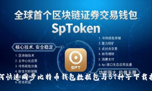 如何快速同步比特币钱包数据包与BT种子下载指南