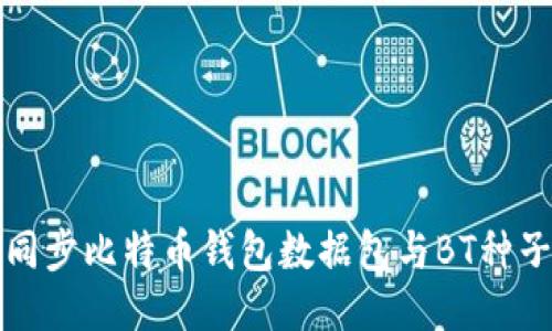 如何快速同步比特币钱包数据包与BT种子下载指南