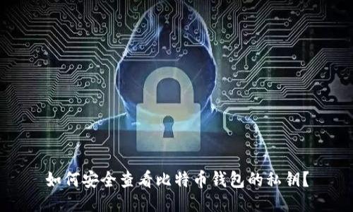如何安全查看比特币钱包的私钥？