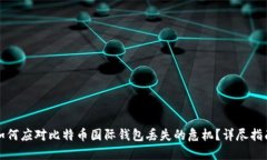 如何应对比特币国际钱包丢失的危机？详尽指南