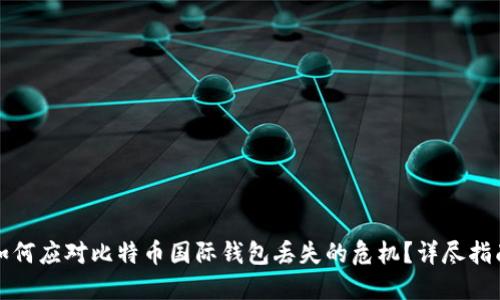 如何应对比特币国际钱包丢失的危机？详尽指南
