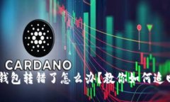 USDT钱包转错了怎么办？教你如何追回损失