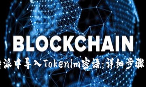 如何在比特派中导入Tokenim密语：详细步骤与注意事项