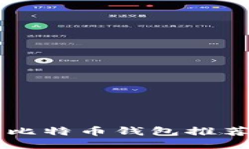 中国可靠的比特币钱包推荐与使用指南