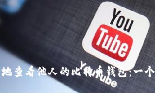 如何安全地查看他人的比特币钱包：一个全面指南