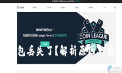 比特币钱包丢失了？解析原因与应对措施