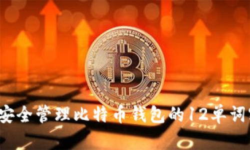 如何安全管理比特币钱包的12单词密钥？