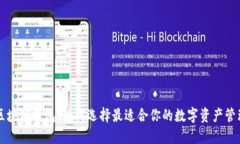 苹果区块链钱包：如何选择最适合你的数字资产