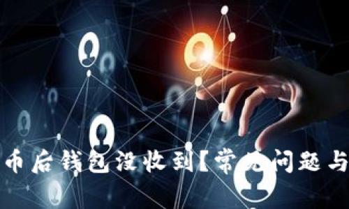 提现虚拟币后钱包没收到？常见问题与解决方案