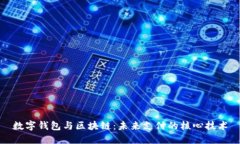 数字钱包与区块链：未来支付的核心技术