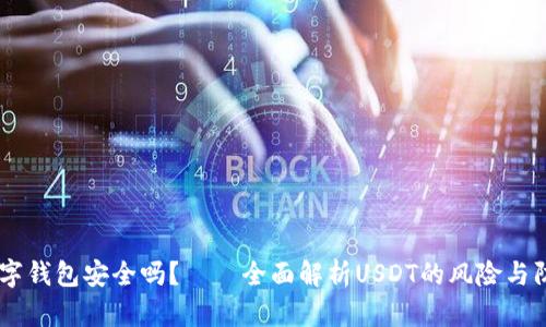 USDT数字钱包安全吗？——全面解析USDT的风险与防范措施