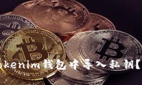 如何在Tokenim钱包中导入私钥？详细指南