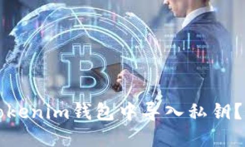 如何在Tokenim钱包中导入私钥？详细指南