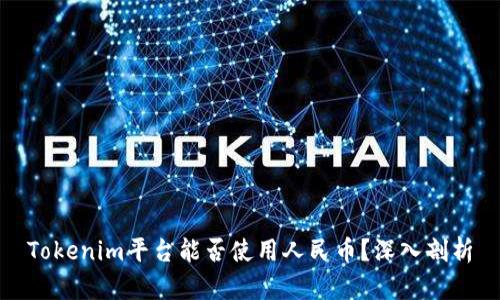 Tokenim平台能否使用人民币？深入剖析