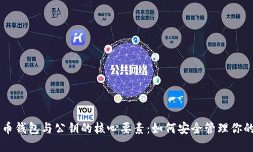 了解比特币钱包与公钥的核心要素：如何安全管理你的数字资产