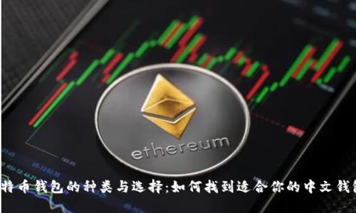 比特币钱包的种类与选择：如何找到适合你的中文钱包？