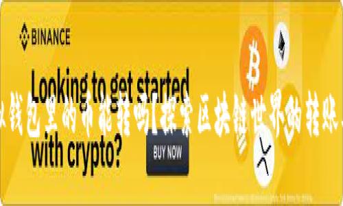 虚拟钱包里的币能转吗？探索区块链世界的转账奥秘