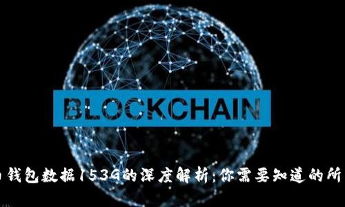 比特币钱包数据153G的深度解析：你需要知道的所有信息