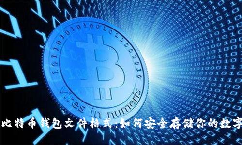解密比特币钱包文件格式：如何安全存储你的数字资产