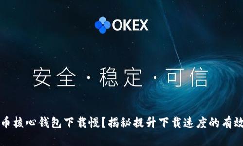 比特币核心钱包下载慢？揭秘提升下载速度的有效方法