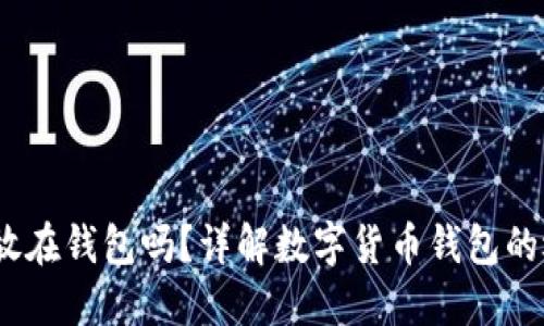USDT可以放在钱包吗？详解数字货币钱包的选择与使用