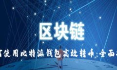 如何使用比特派钱包高效转币：全面指南