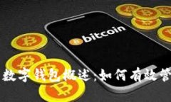 区块链技术中的数字钱包概述：如何有效管理你
