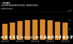 彻底解读比特币钱包Testnet：如何在测试网中安全
