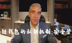 深入了解区块链钱包的私钥机制：安全管理与最