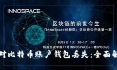 如何应对比特币账户钱包丢失：全面解决指南