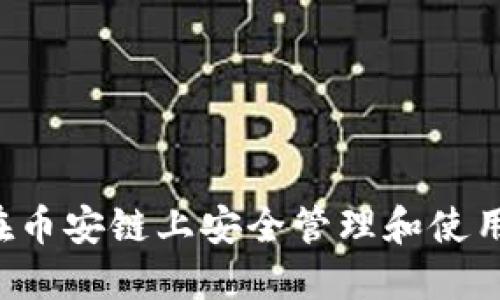 如何在币安链上安全管理和使用USDT