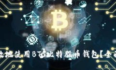 如何安全高效地使用BTS比特股币钱包？全面指南