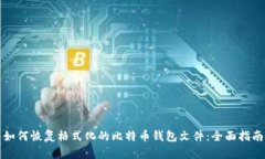 如何恢复格式化的比特币钱包文件：全面指南