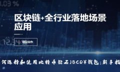 如何选择和使用比特币钻石（BCD）钱包：新手指