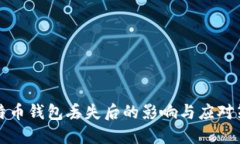 比特币钱包丢失后的影响与应对策略