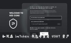 如何在 imToken 钱包中查看 USDT 资产