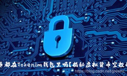 空投币都在Tokenim钱包里吗？揭秘虚拟货币空投的真相