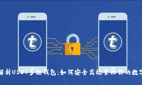 全面解析USDT多链钱包：如何安全高效管理你的数字资产