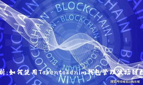 全面解析：如何使用Tokentokenim钱包管理波场链数字资产